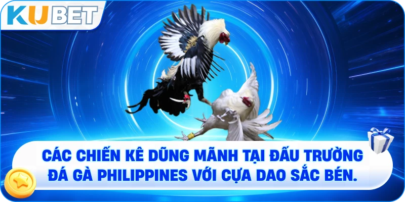 các chiến kê dũng mãnh tại đấu trường đá gà Philippines với cựa dao sắc bén.