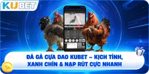 Đá gà cựa dao KUBET – Trải nghiệm cá cược đỉnh cao và xanh chín